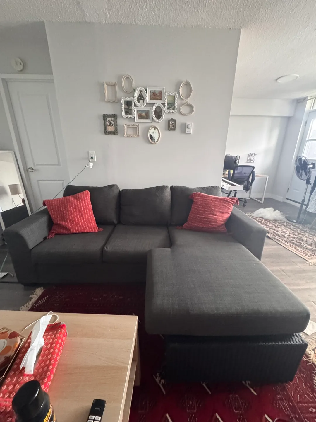 Bricks Dark Grey Sectional Sofa with Chaise image indicator(4)