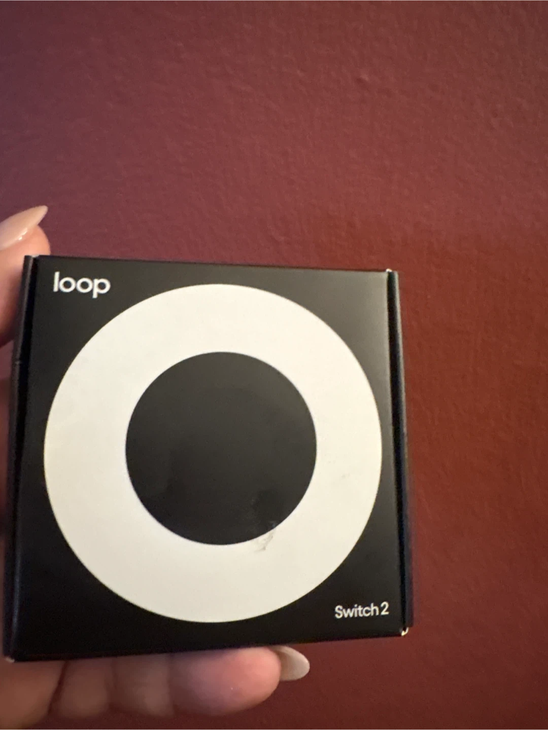 Loop Switch 2 Earplugs - Silver New