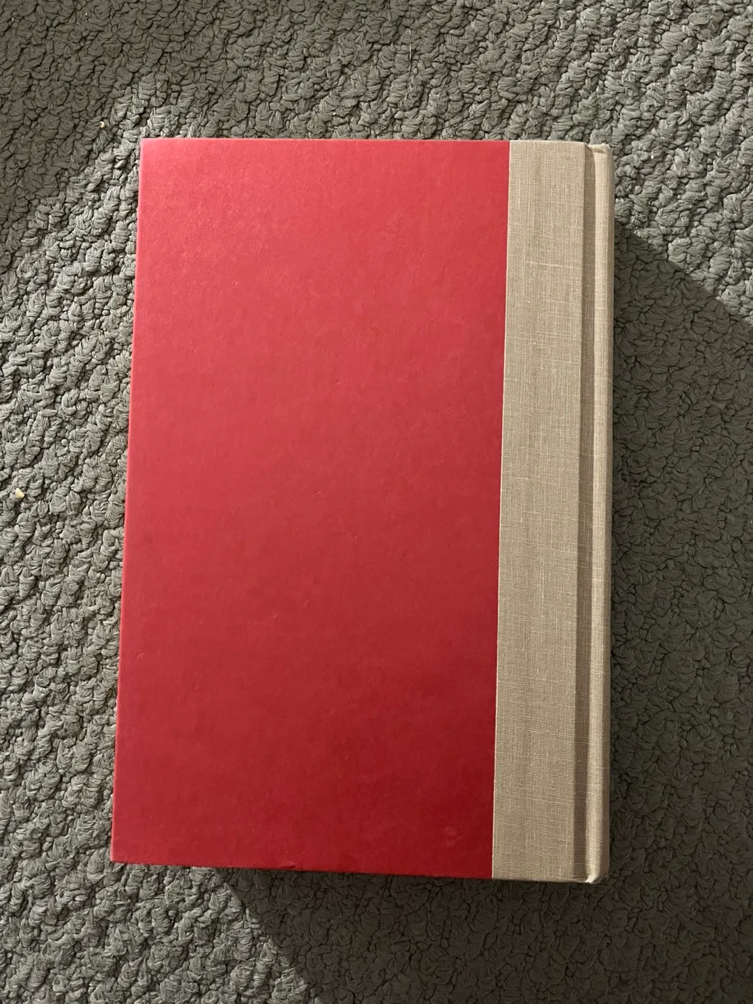 The Regulators by Richard Bachman image indicator(3)