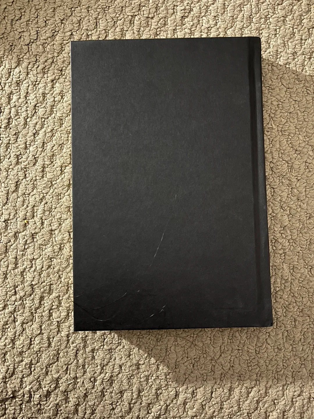 The Watcher by Ross Armstrong image indicator(3)