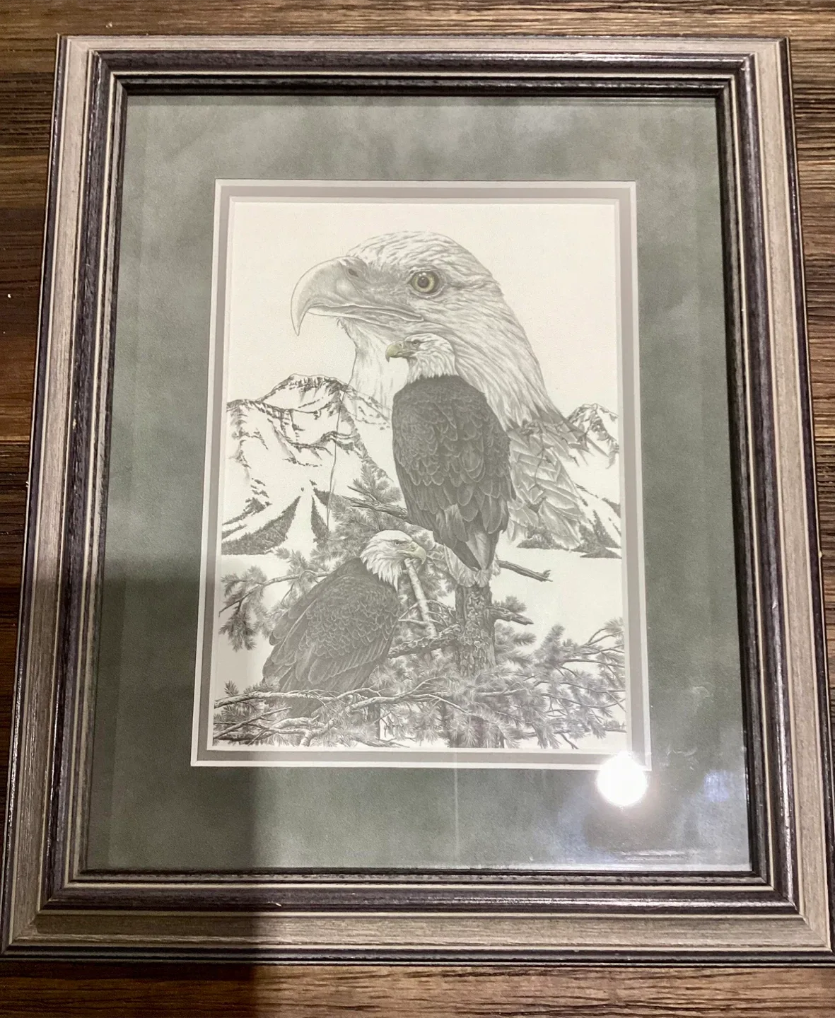 Bernie Brown Eagle Print - Framed thumbnail