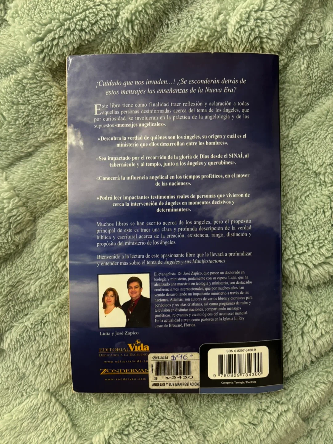 Ángeles y sus Manifestaciones by José y Lidia Zapico image indicator(2)