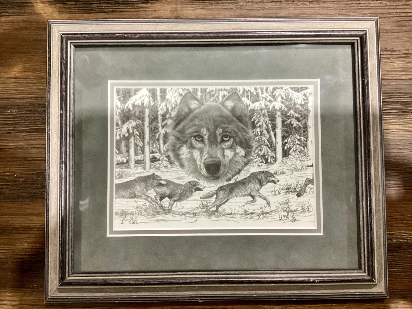 Framed Wolf Print by Bernie Brown thumbnail