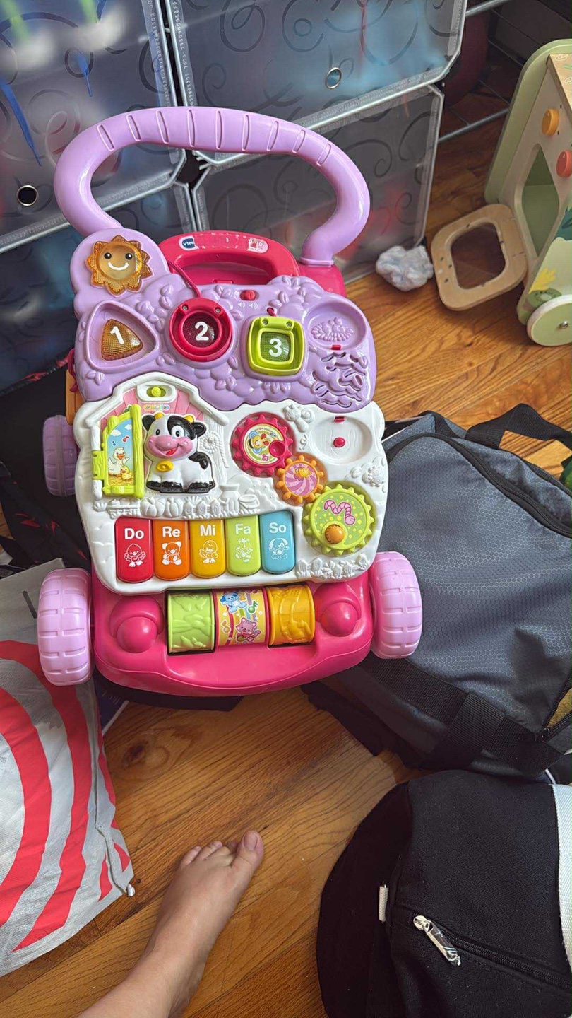VTech Sit-to-Stand Learning Walker