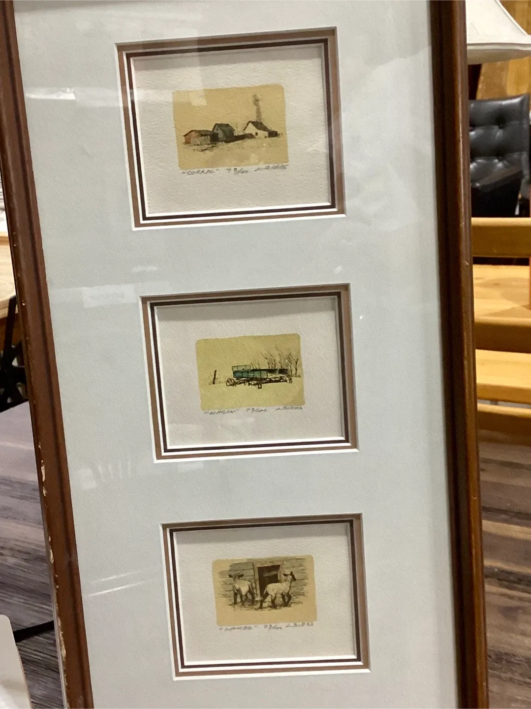 Framed Art Prints by L. Sibos thumbnail