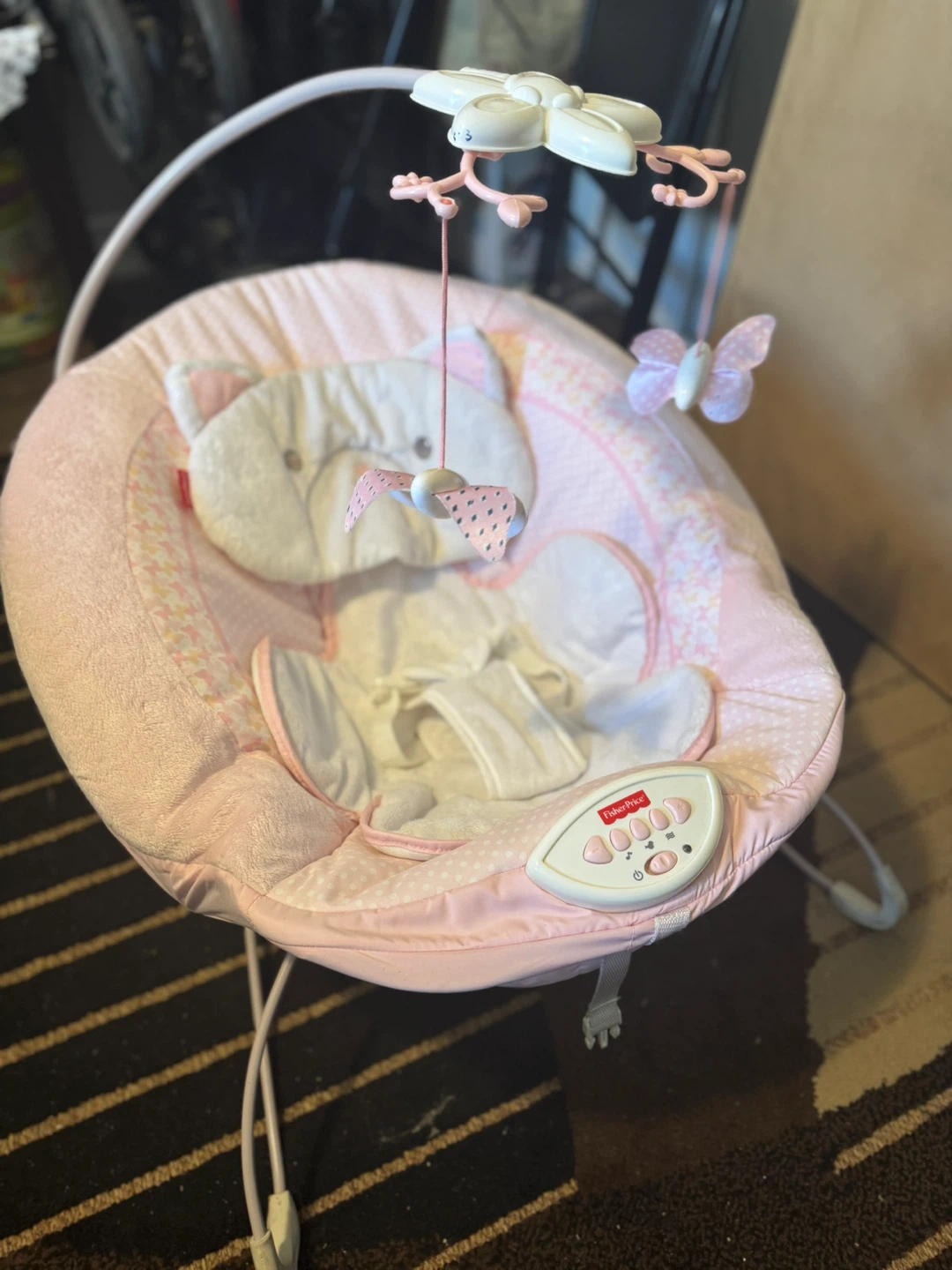 Fisher-Price Baby Bouncer