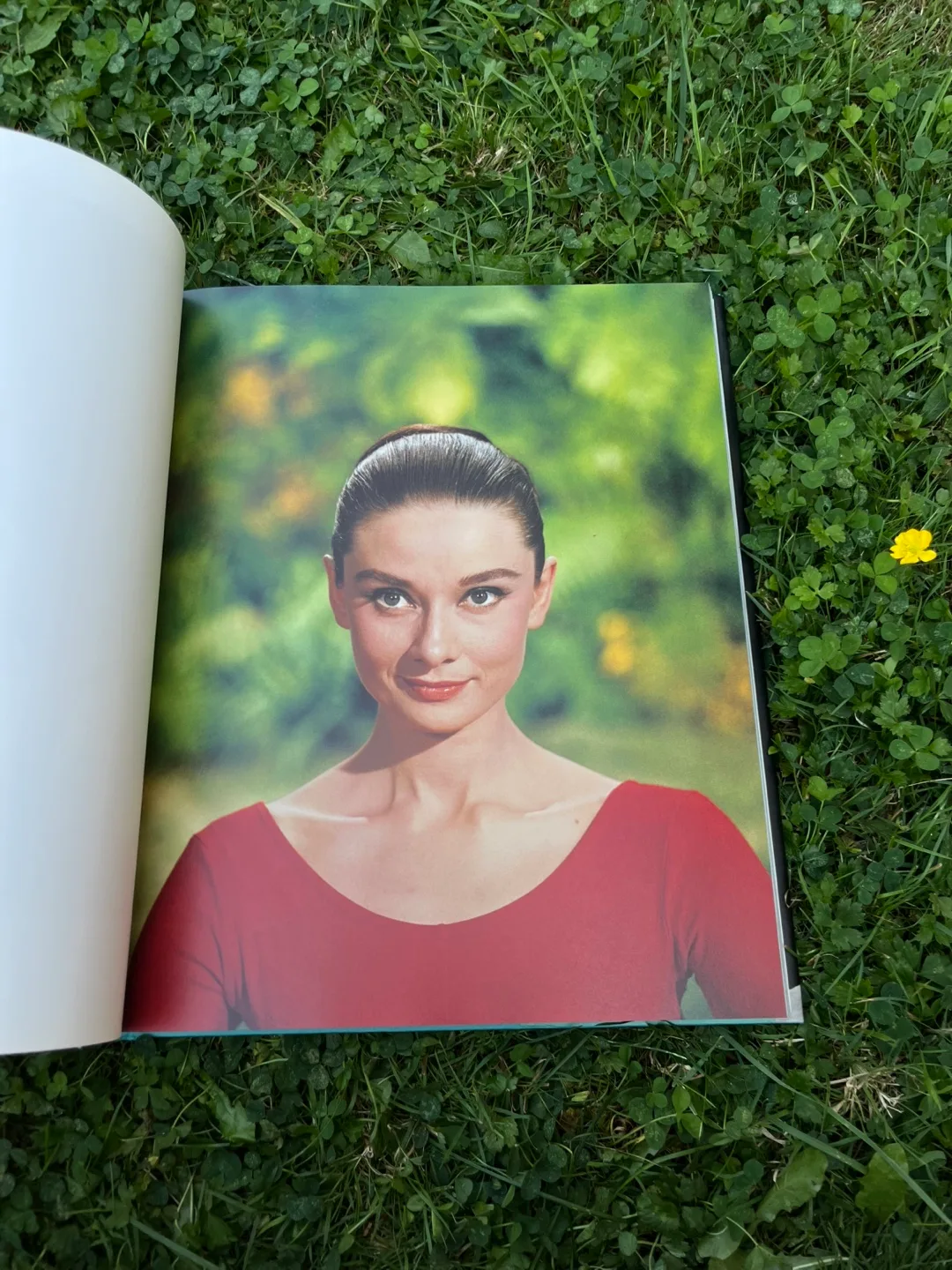 Audrey Hepburn Coffee Table Book image indicator(2)