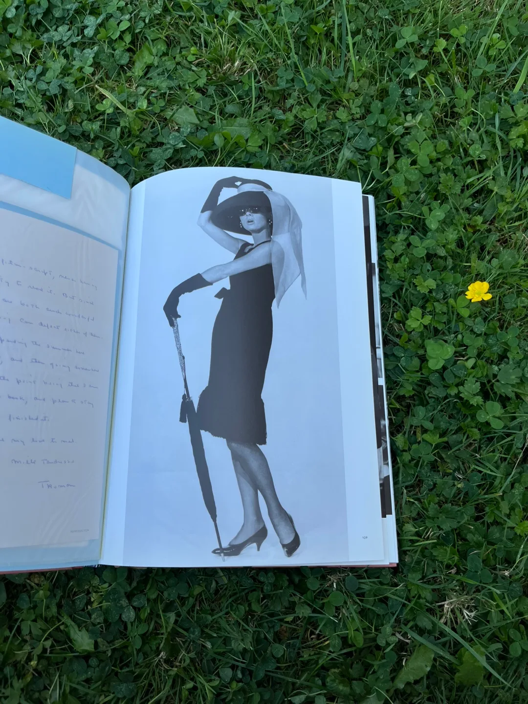 The Audrey Hepburn Treasures Book image indicator(2)