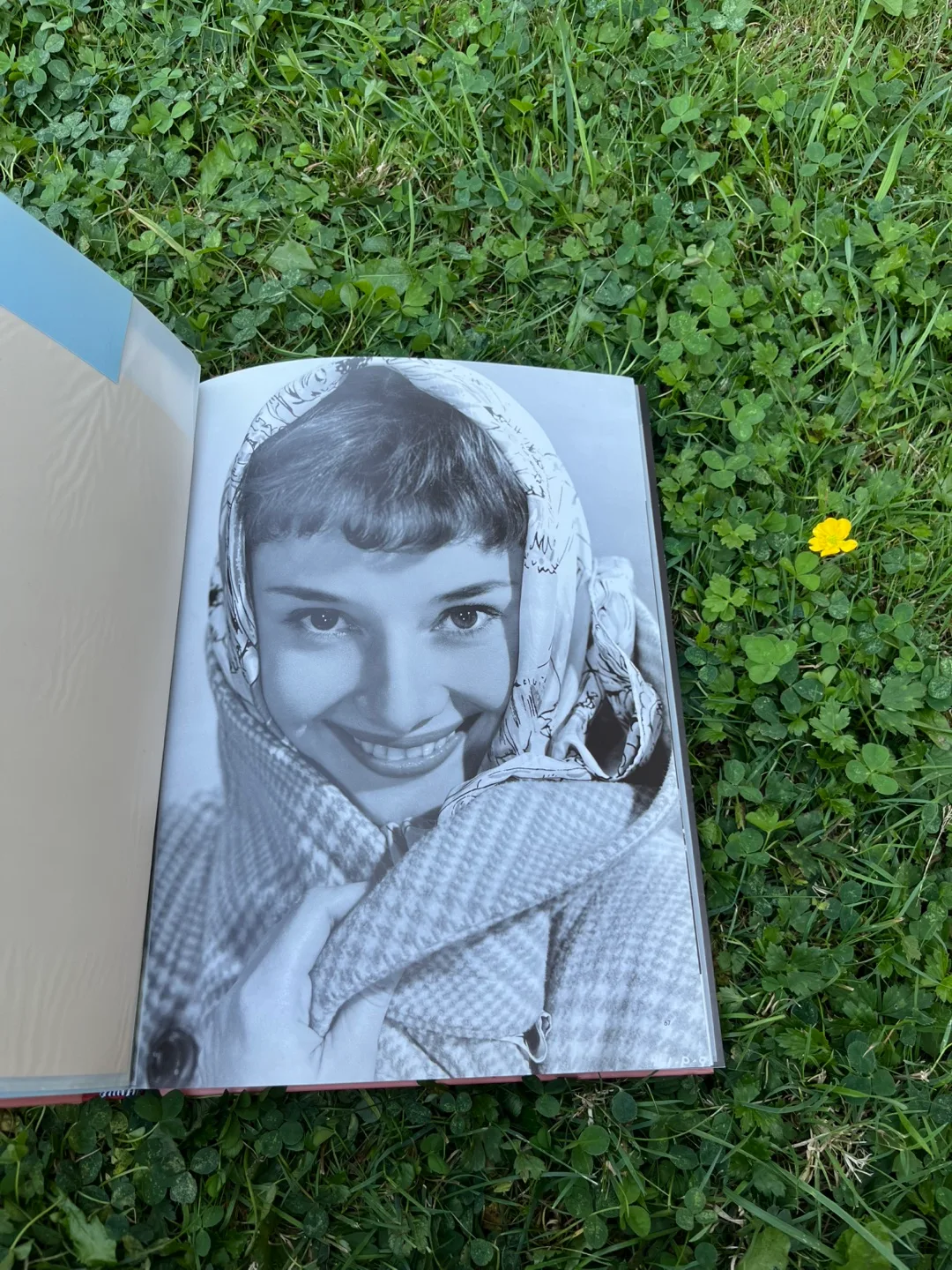 The Audrey Hepburn Treasures Book image indicator(3)