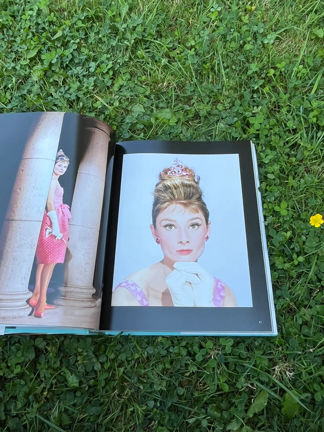 Audrey The 60s Book image indicator(2)