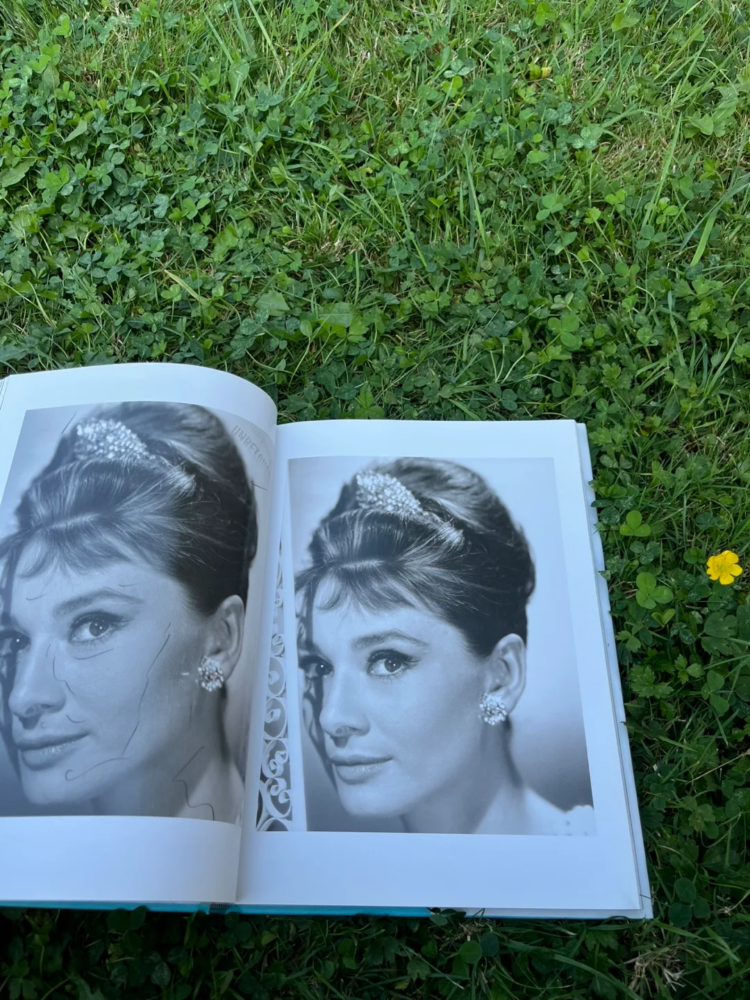 Breakfast at Tiffany's 50th Anniversary Companion image indicator(2)