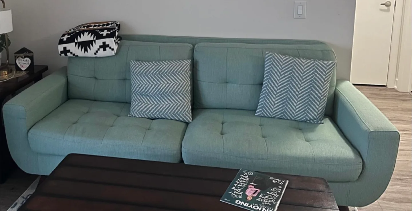 Light Green Sofa with Pillows thumbnail