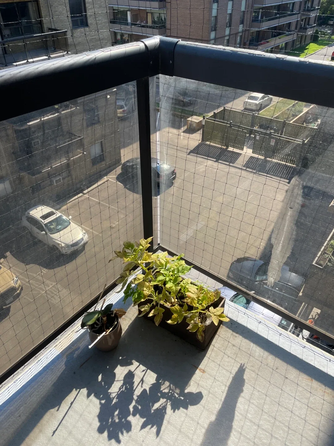 02 plants image indicator(2)