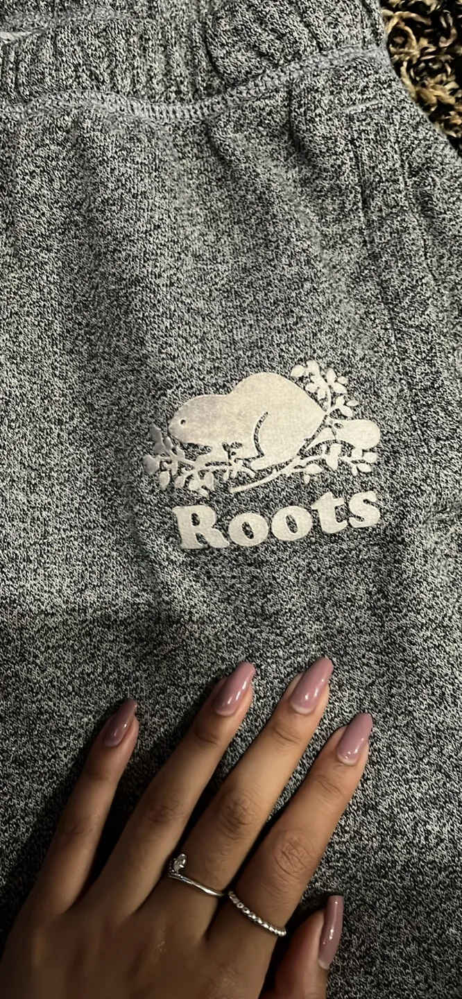 Roots Sweatpants - Size S image indicator(6)