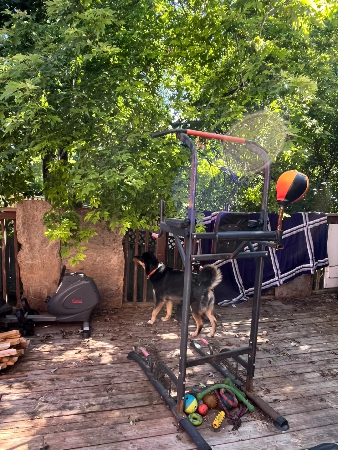 For Sale-$20 Workout Stand thumbnail