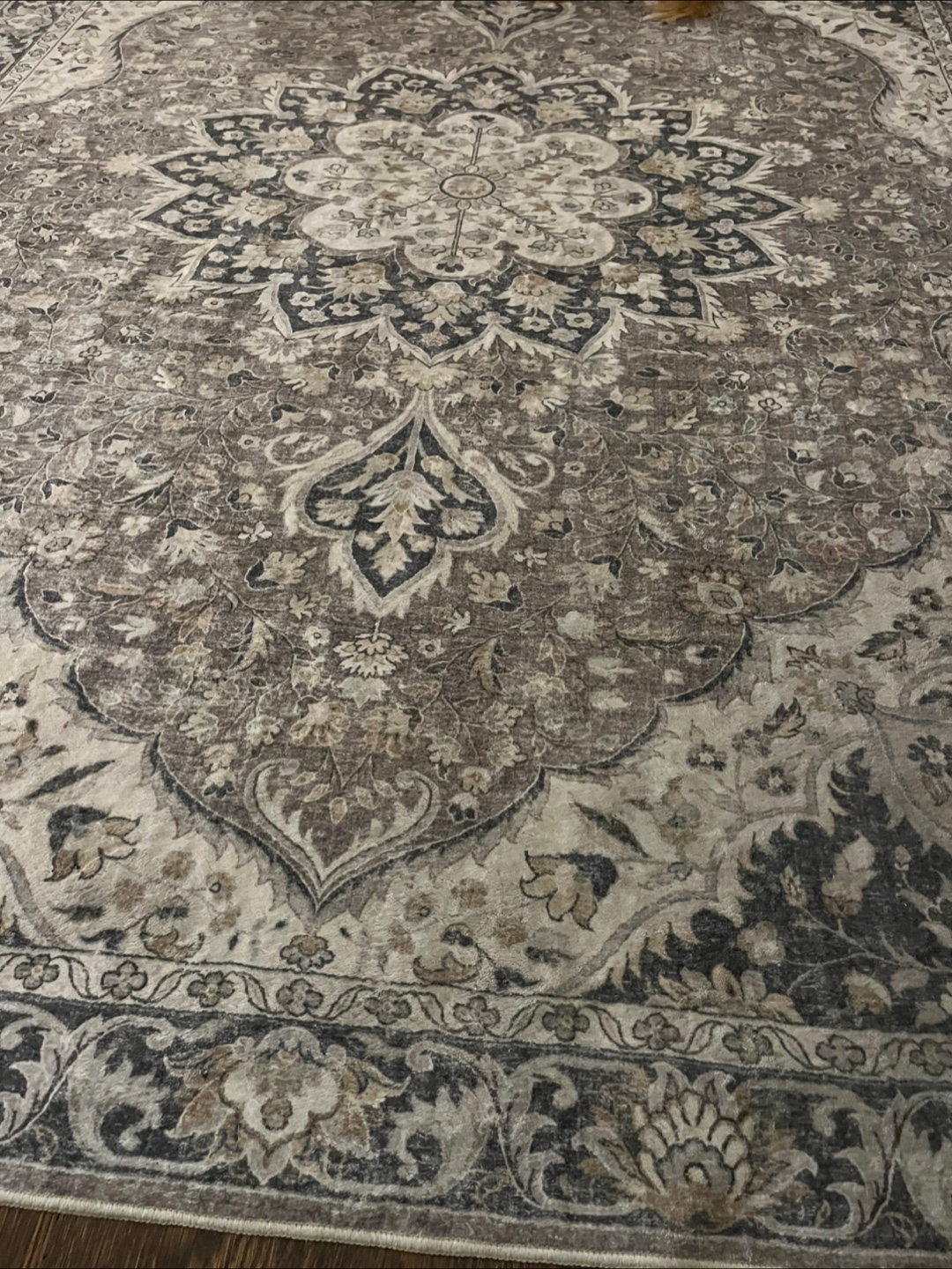 befbee 5x7 Area Rug - Brown/Multi - photo 4