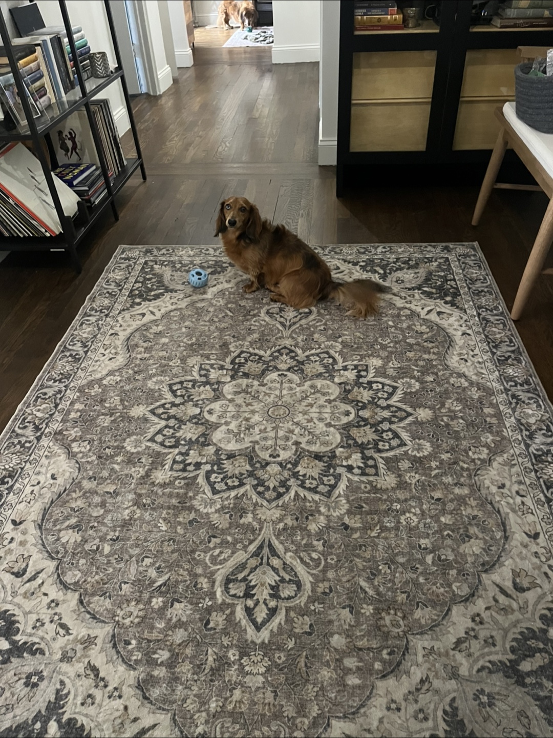 befbee 5x7 Area Rug - Brown/Multi