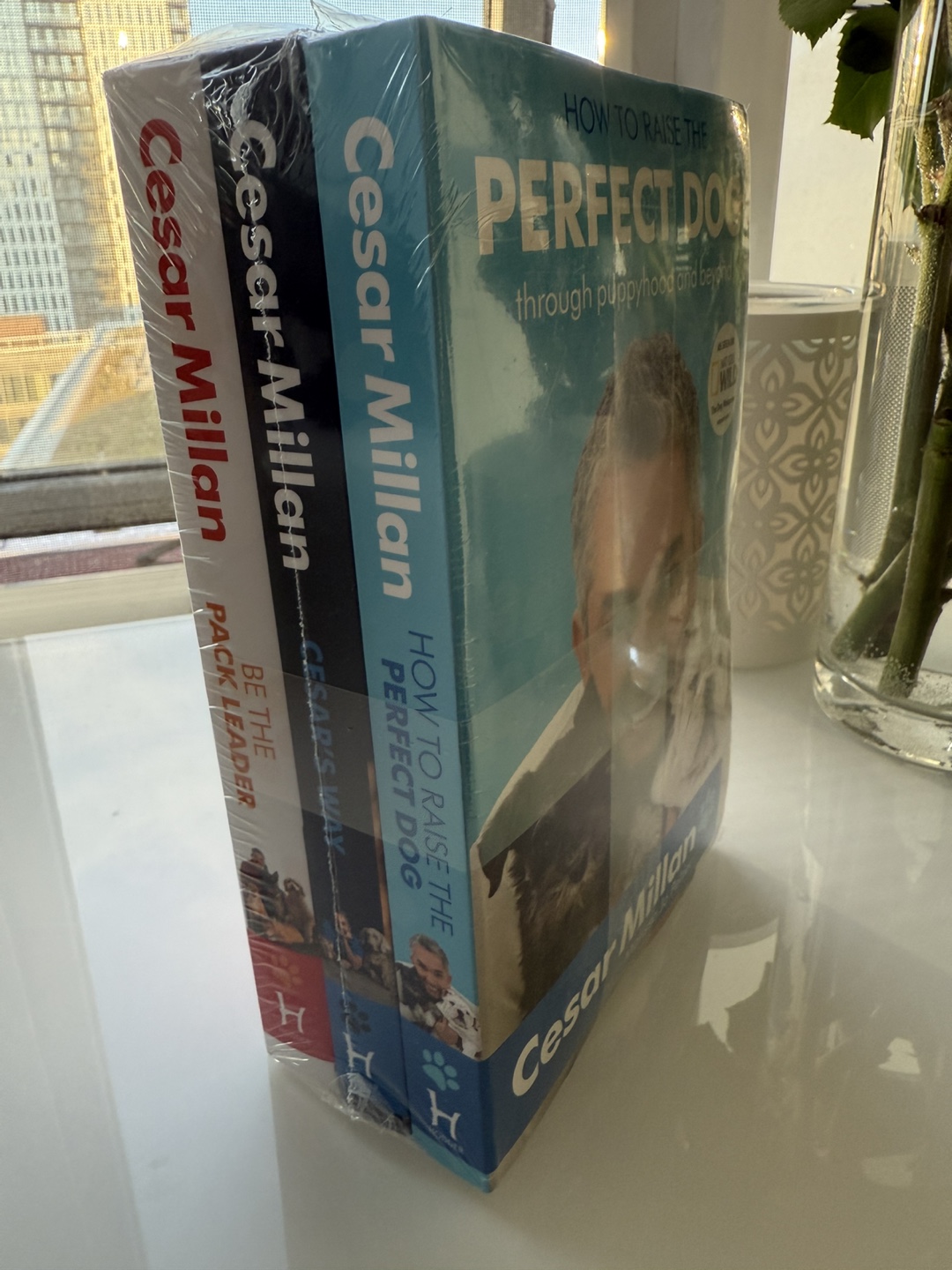 Cesar Millan Dog Training 3 piece Book Set (New)