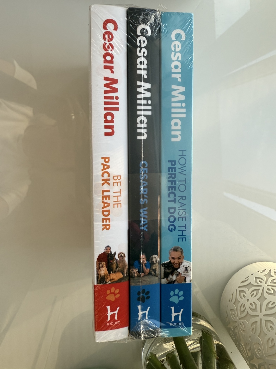 Cesar Millan Dog Training 3 piece Book Set (New) - photo 2