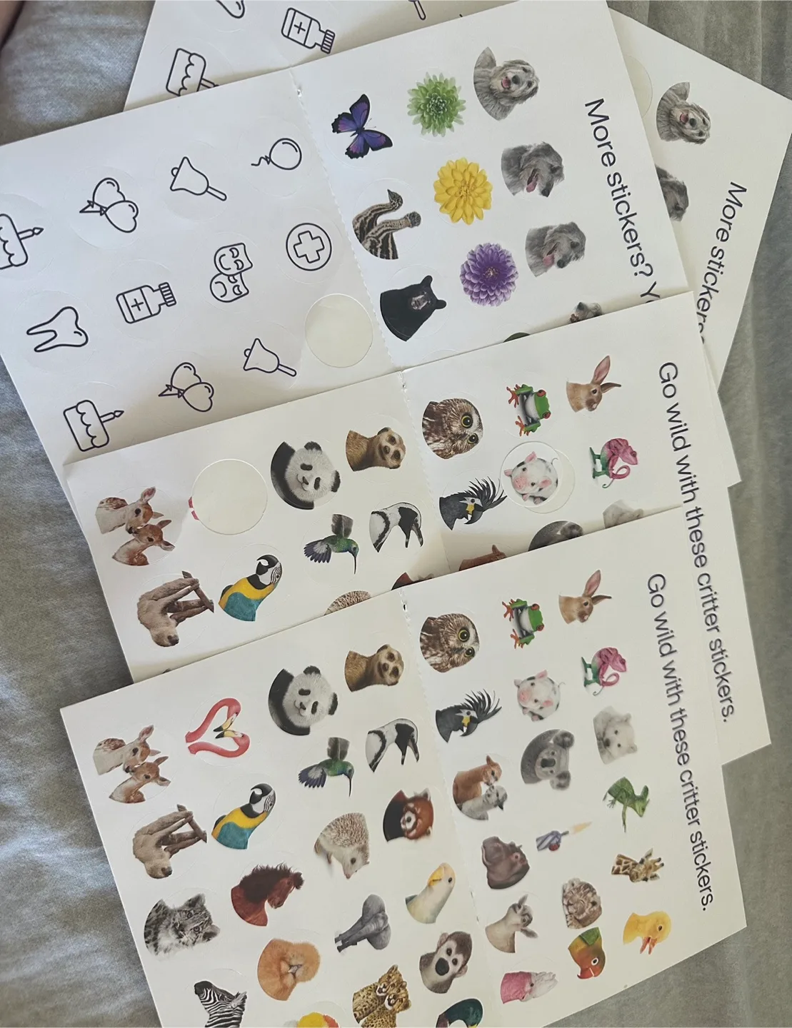 Animal stickers thumbnail