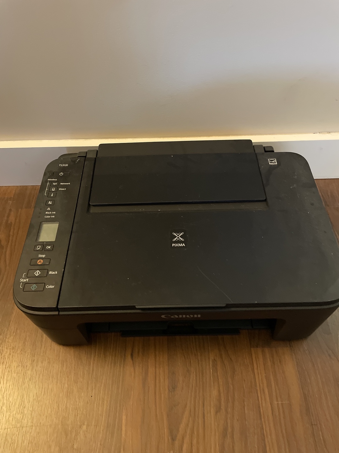 Canon PIXMA TS3120 Printer