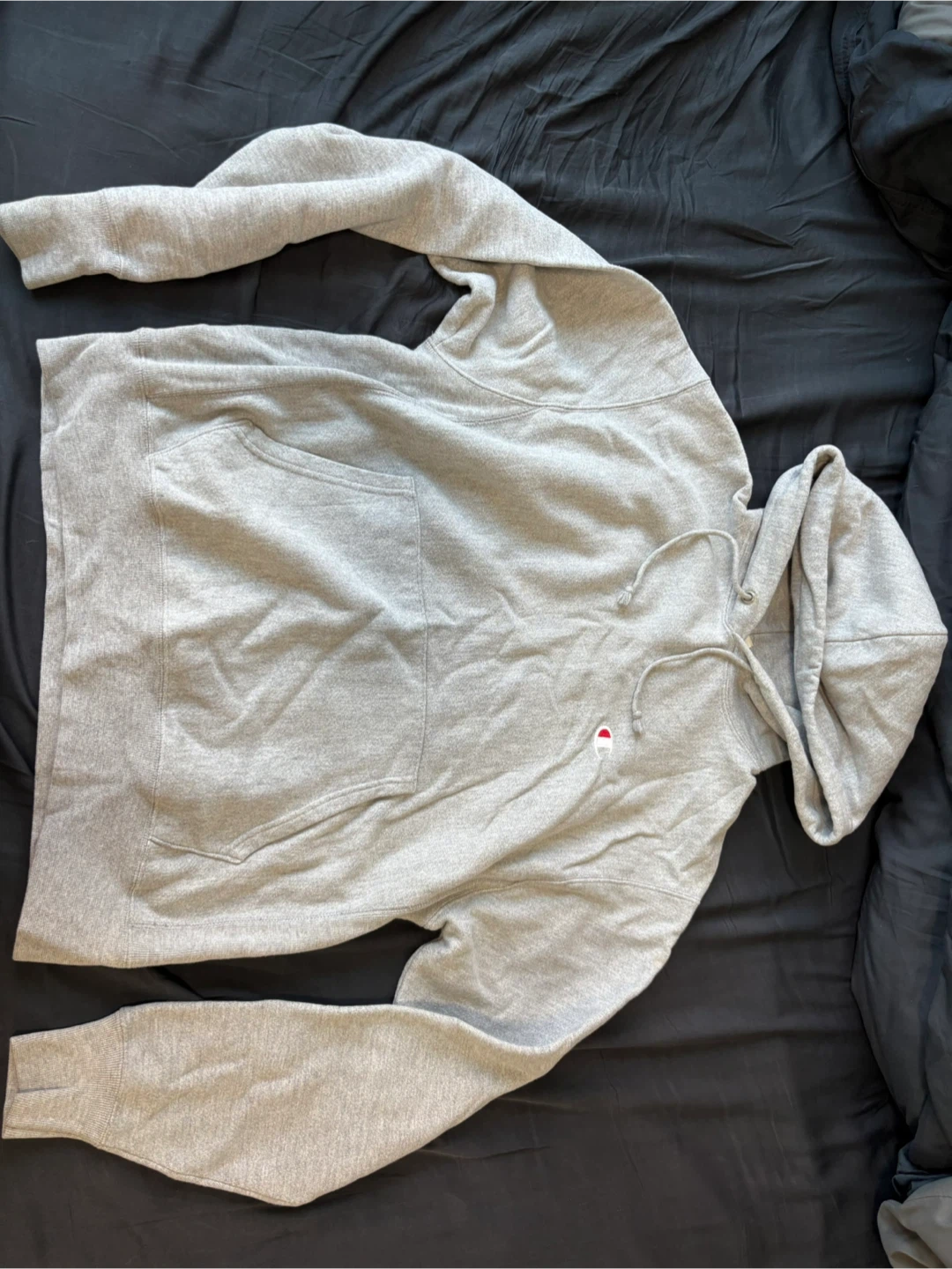 Gray Champion Reverse Weave Hoodie (M)
