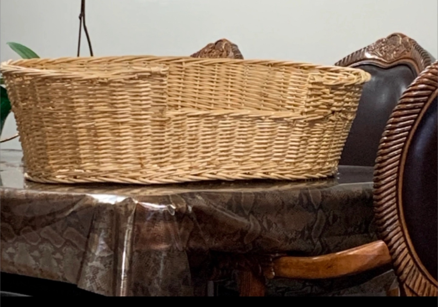 Wicker Pet Bed