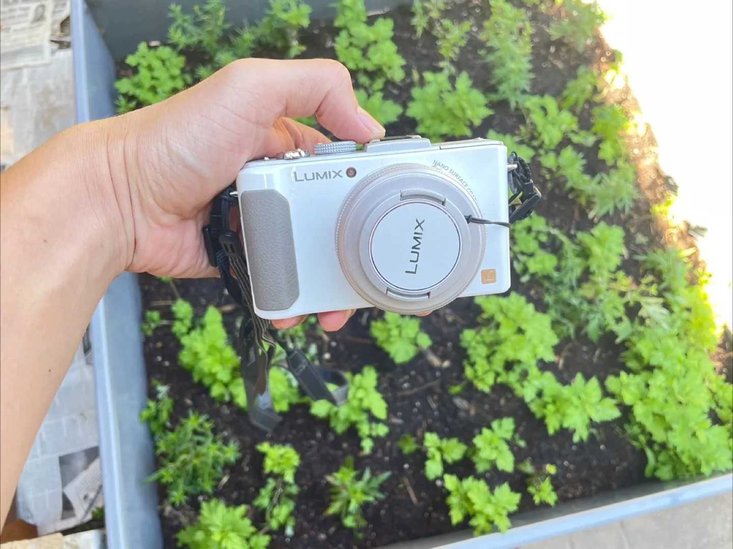 Panasonic Lumix DMC-LX7 + Charger, Bag, 8Gb SD Card image indicator(2)