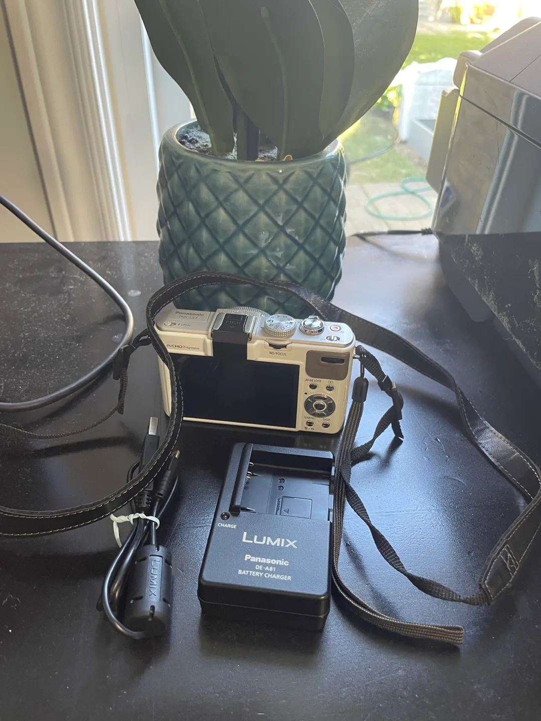 Panasonic Lumix DMC-LX7 + Charger, Bag, 8Gb SD Card image indicator(4)