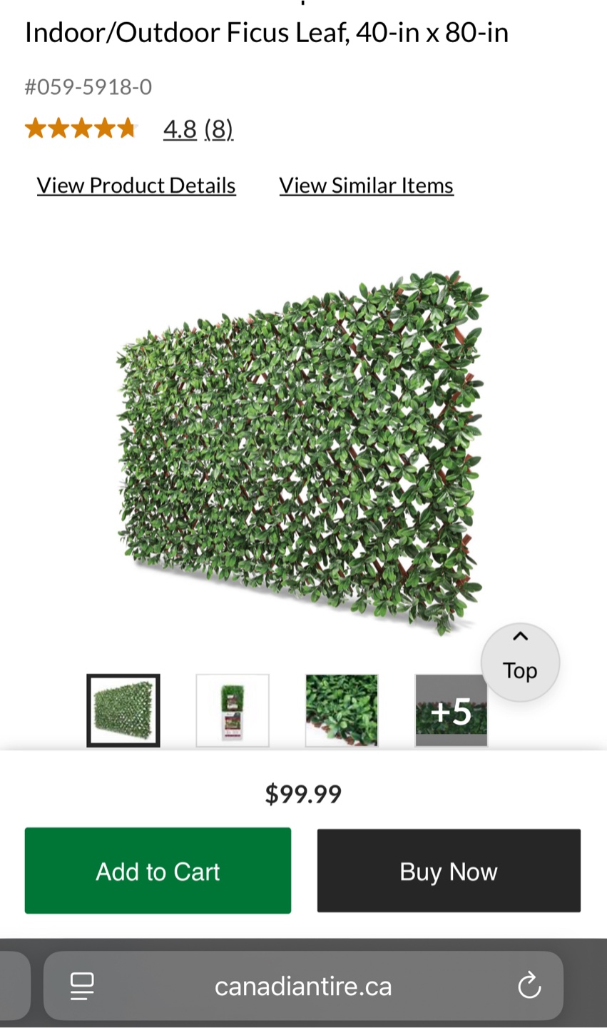 Indoor/Outdoor Ficus Leaf Panels (set of 2)