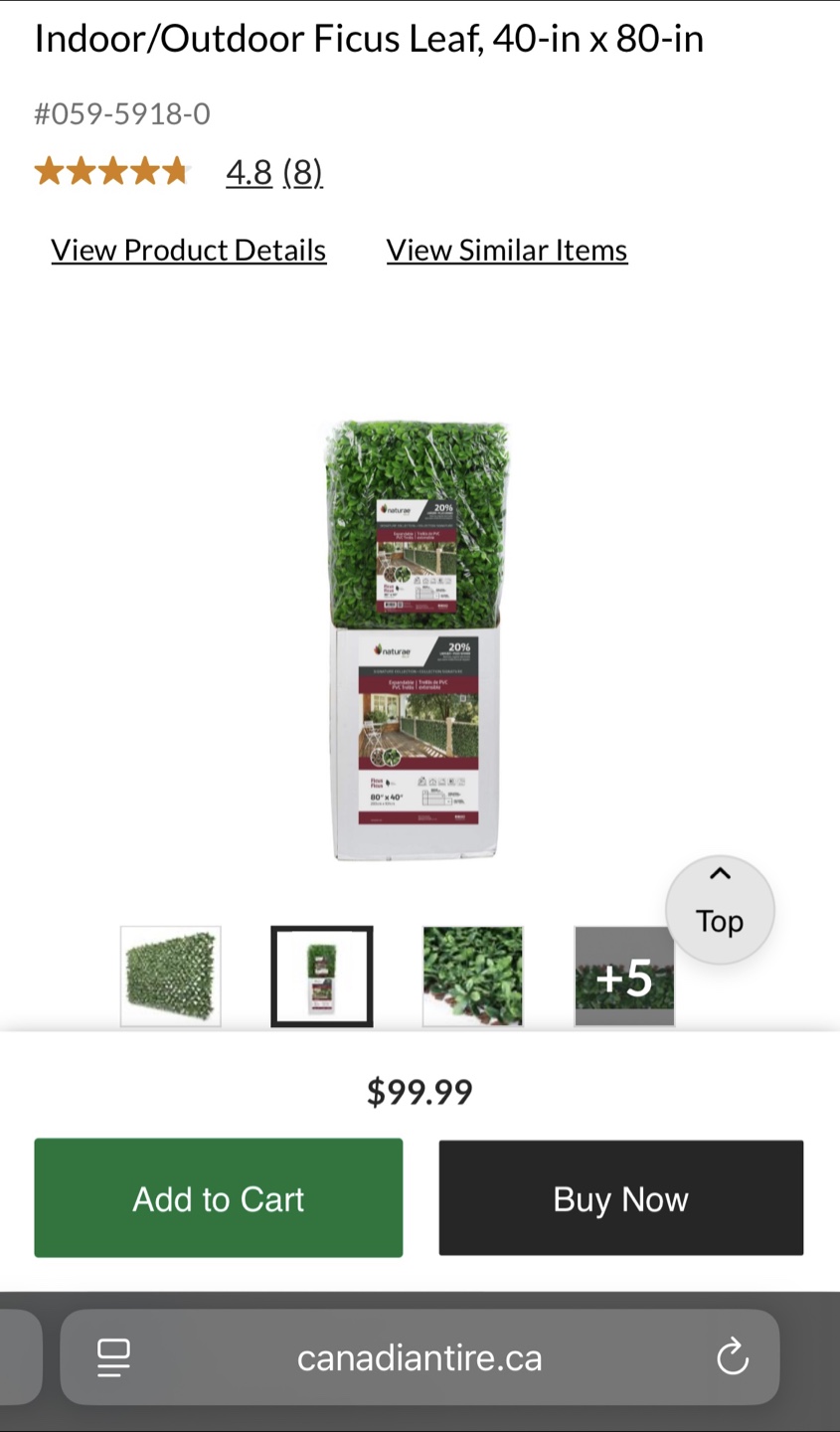 Indoor/Outdoor Ficus Leaf Panels (set of 2) - photo 2