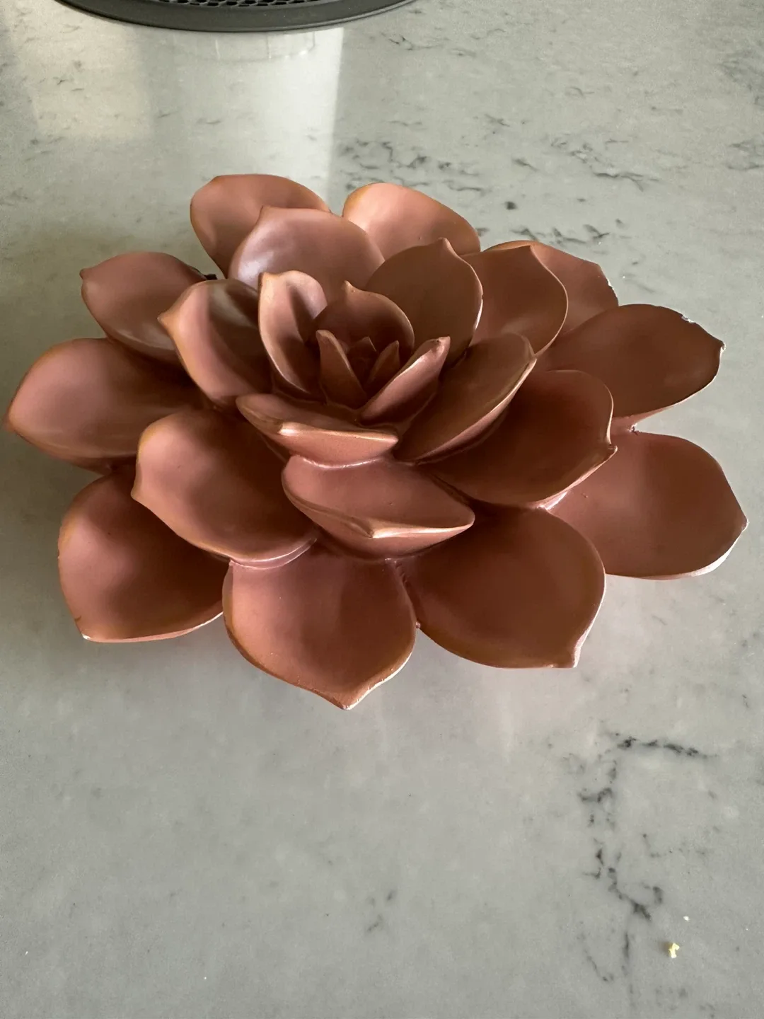 Succulent Wall Decor - Set of 2 image indicator(3)