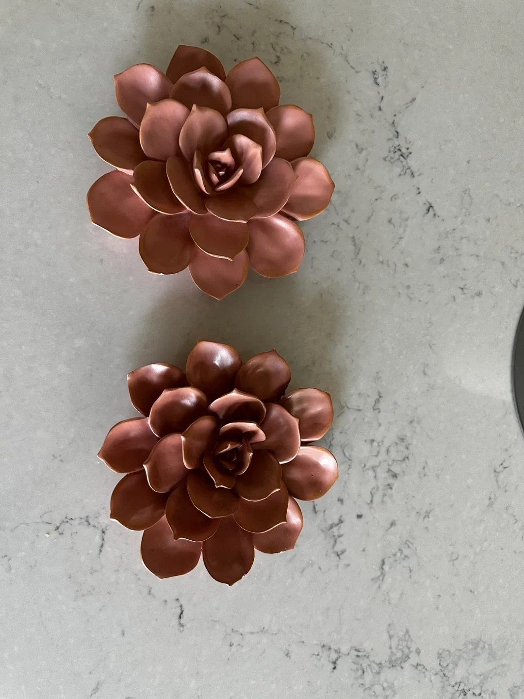 Succulent Wall Decor - Set of 2 thumbnail