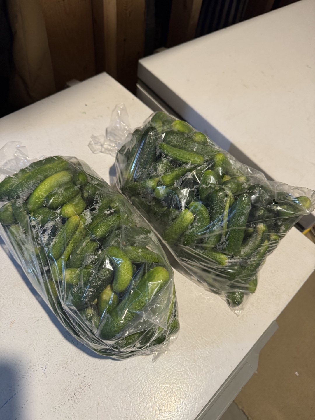 Cucumbers perfect for pickling