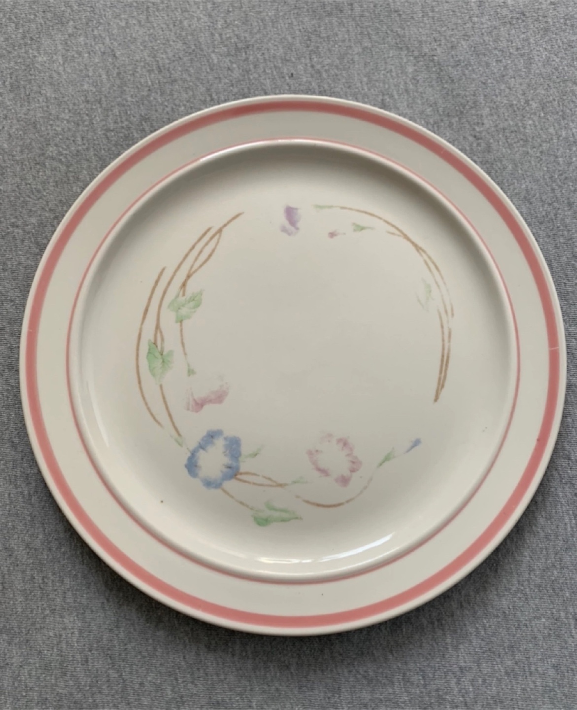 Large Dinner Plate