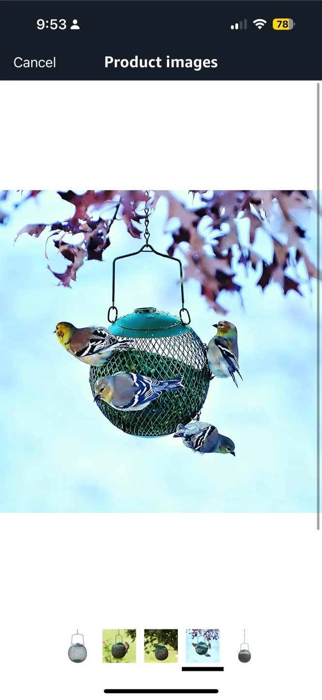 Green Mesh Ball Bird Feeder thumbnail