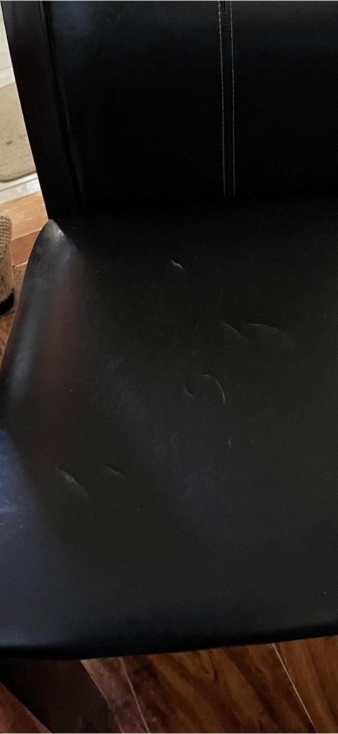 Dark brown Dining Chair - photo 2