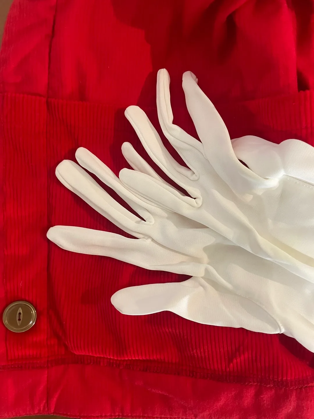 Lions International British Columbia Vest - Size S image indicator(6)