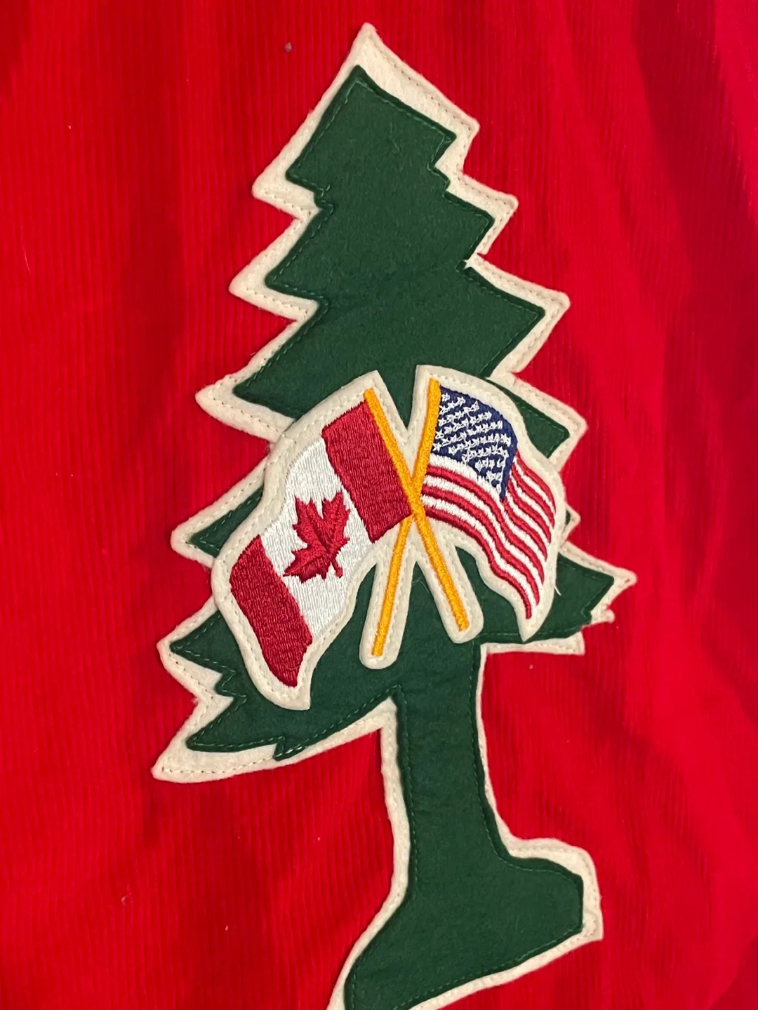 Lions International British Columbia Vest - Size S image indicator(5)