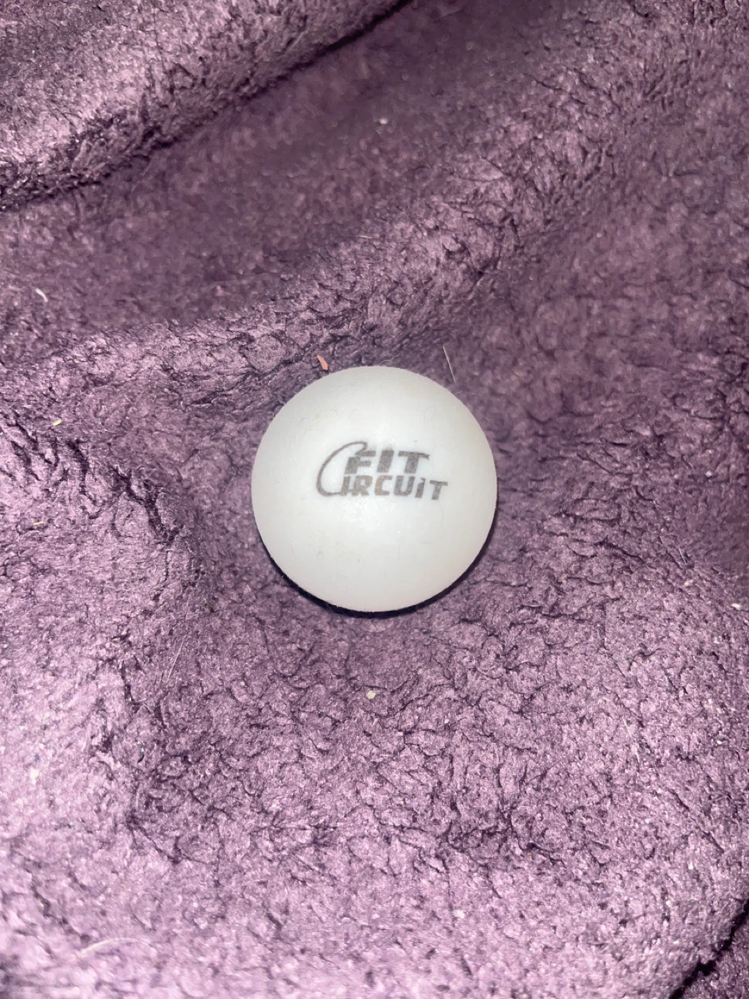 Fit Circuit pingpong ball