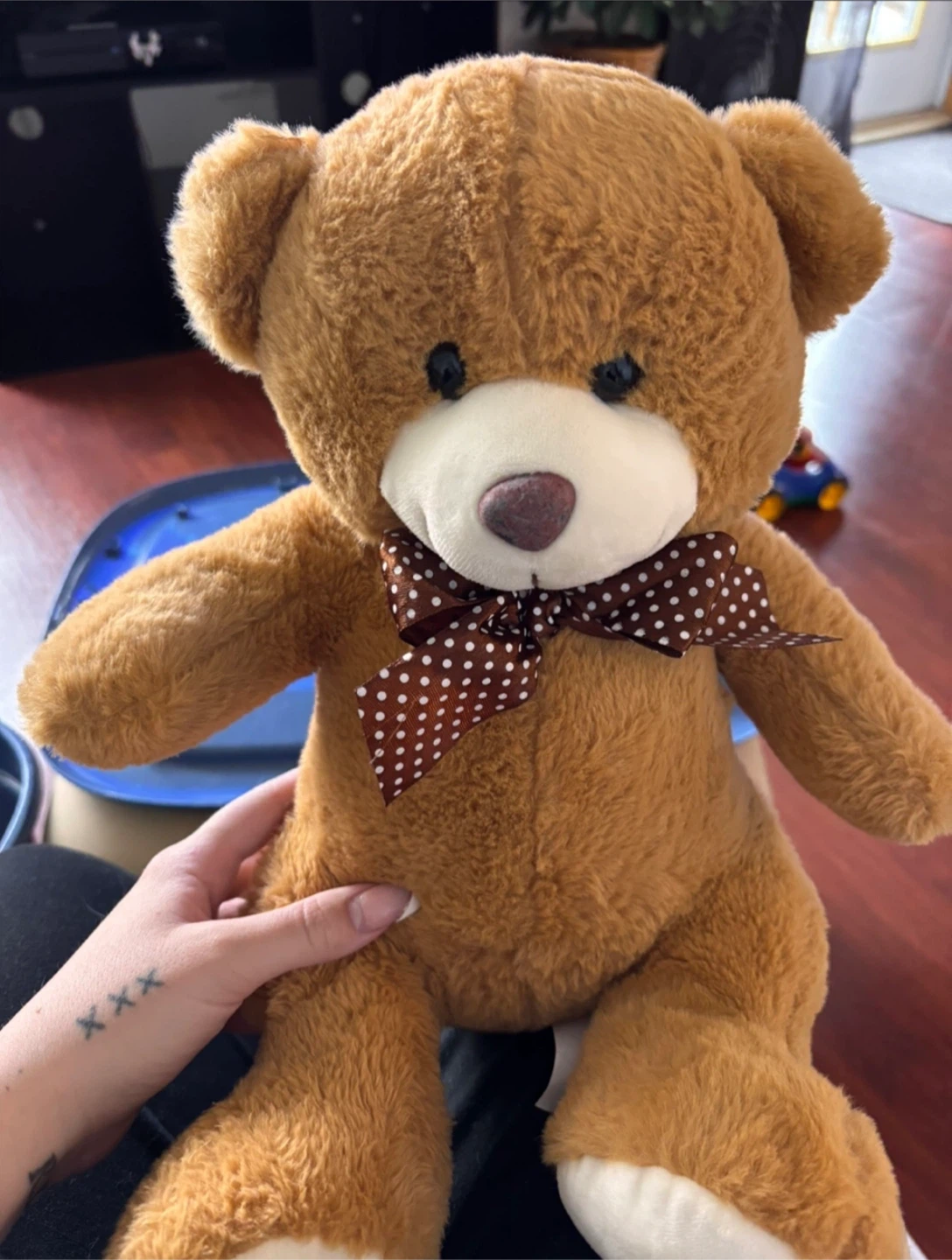Brown Teddy Bear