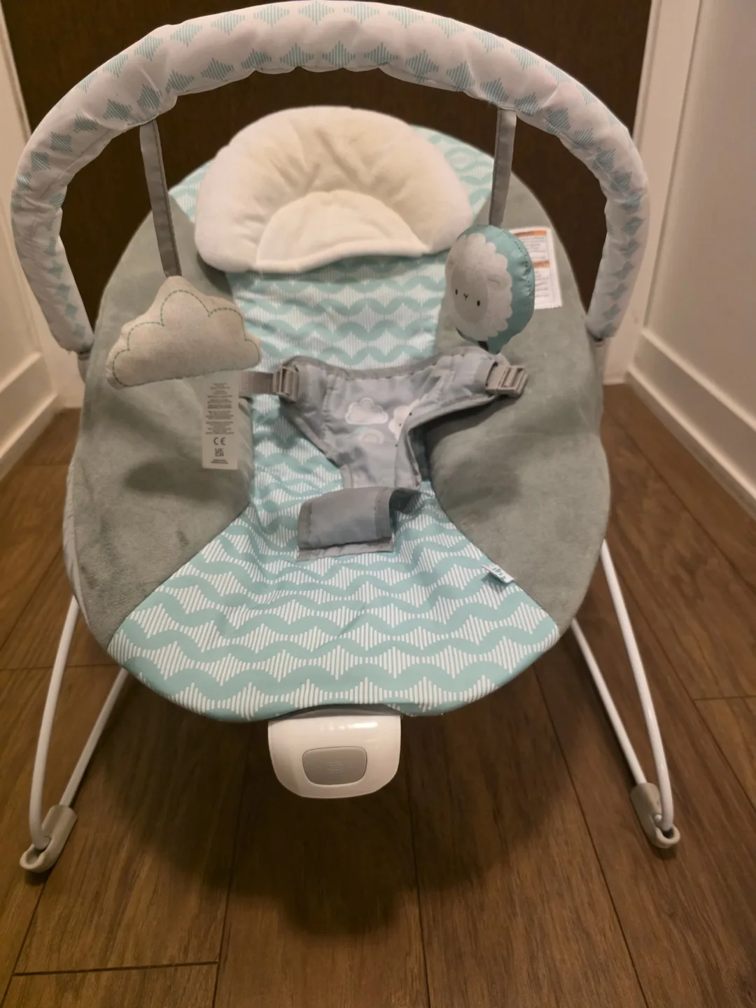 Ingenuity Ity Baby Bouncer - Goji thumbnail