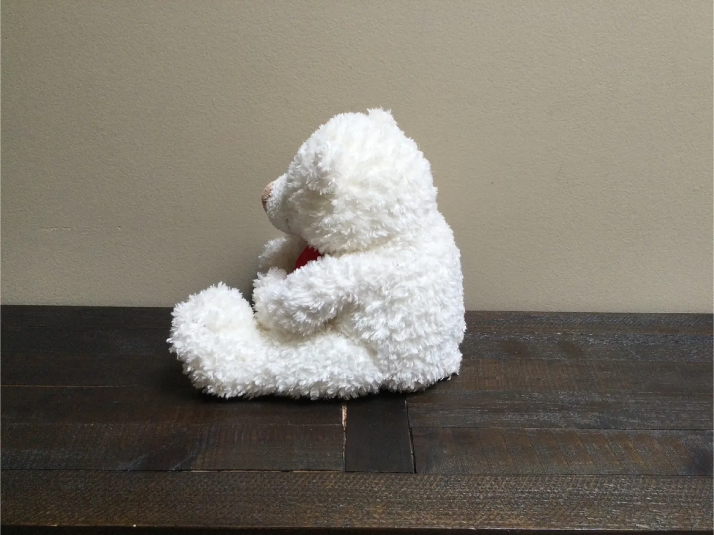 Free White Teddy Bear image indicator(2)