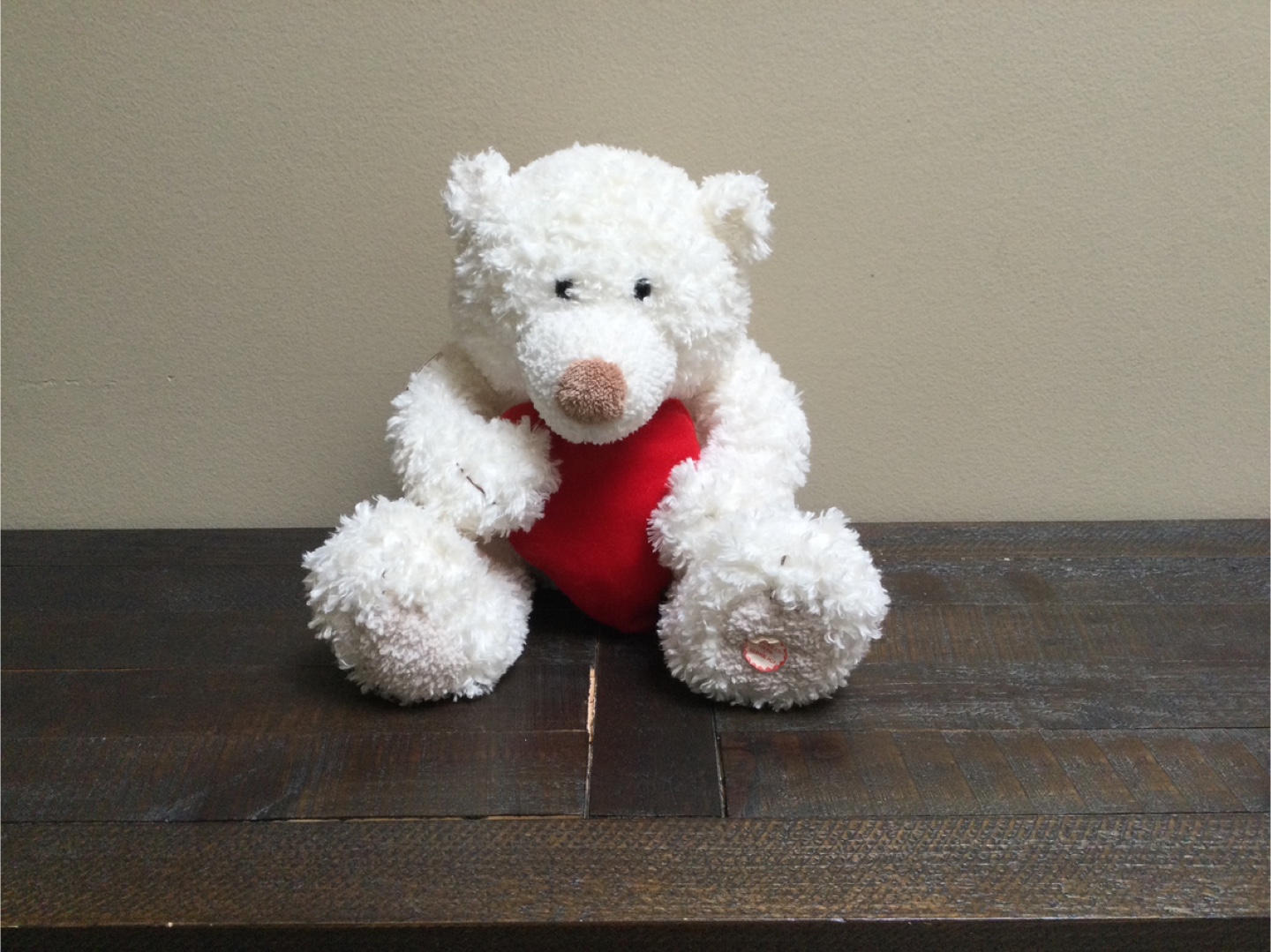 Free White Teddy Bear