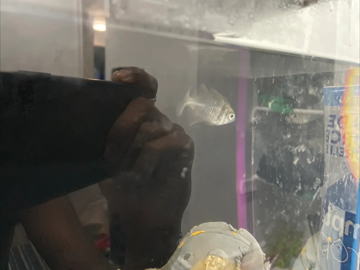 Fish tank with accessories image indicator(4)