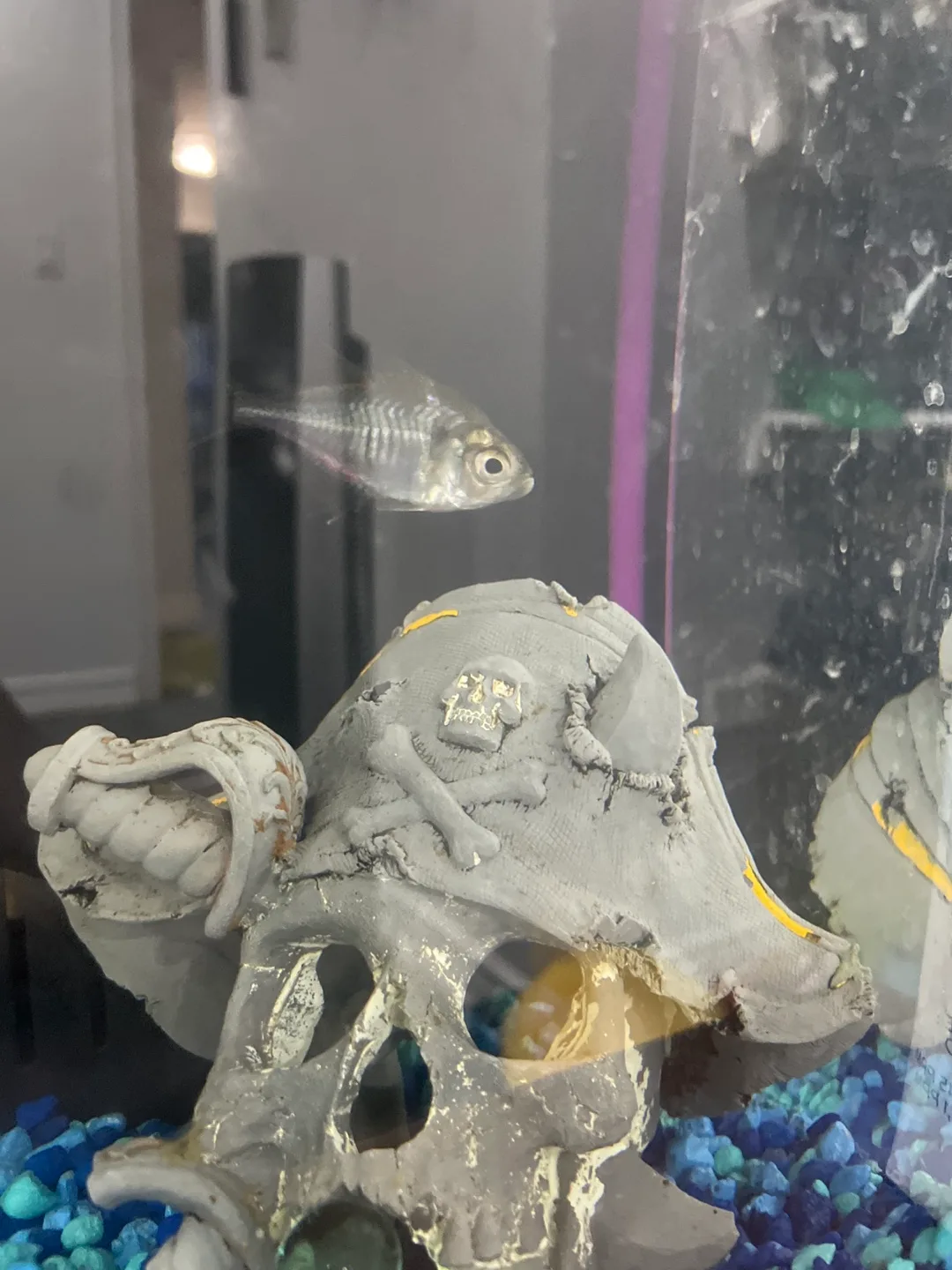 Fish tank with accessories image indicator(5)