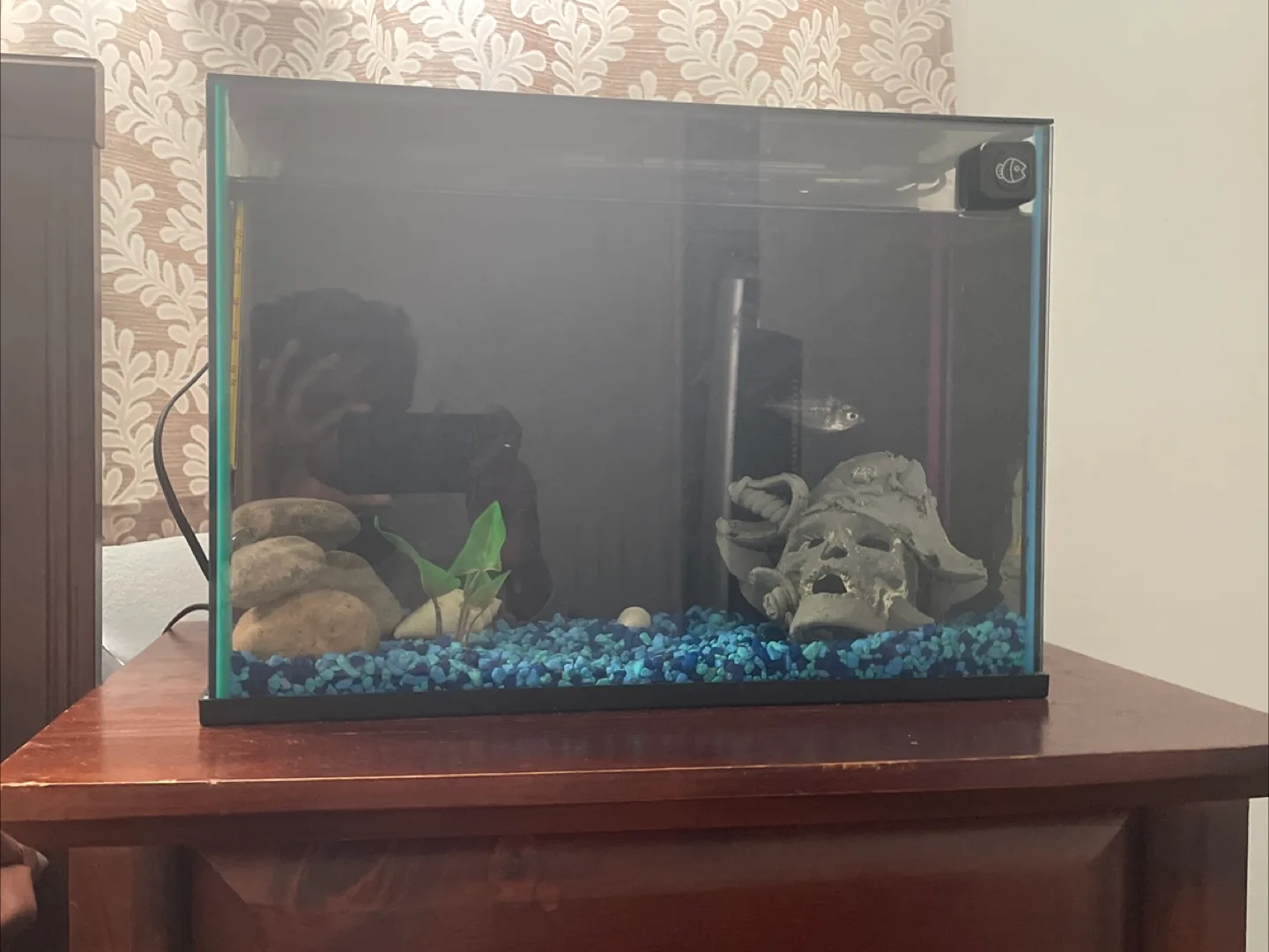 Fish tank with accessories image indicator(8)