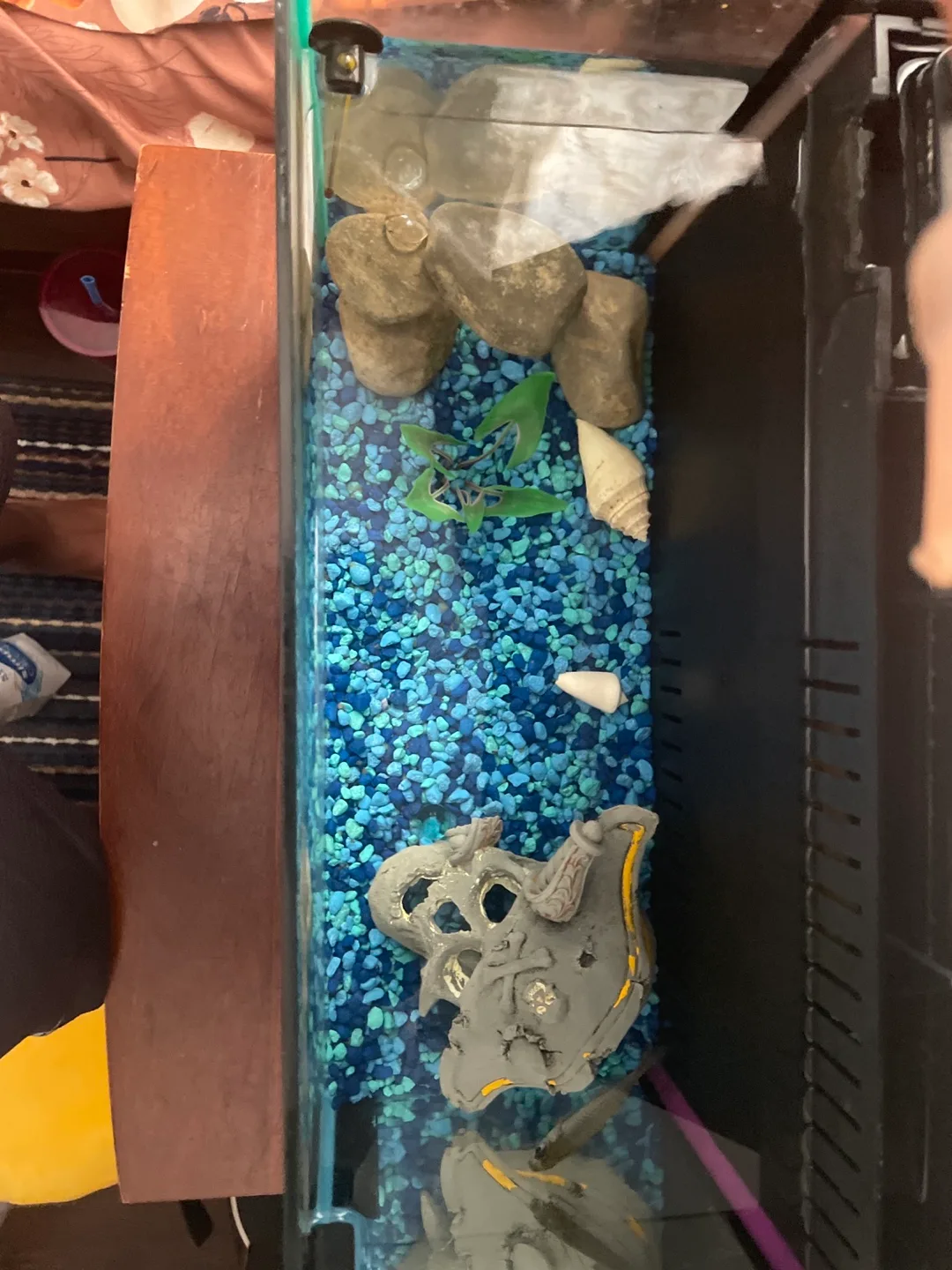 Fish tank with accessories image indicator(7)