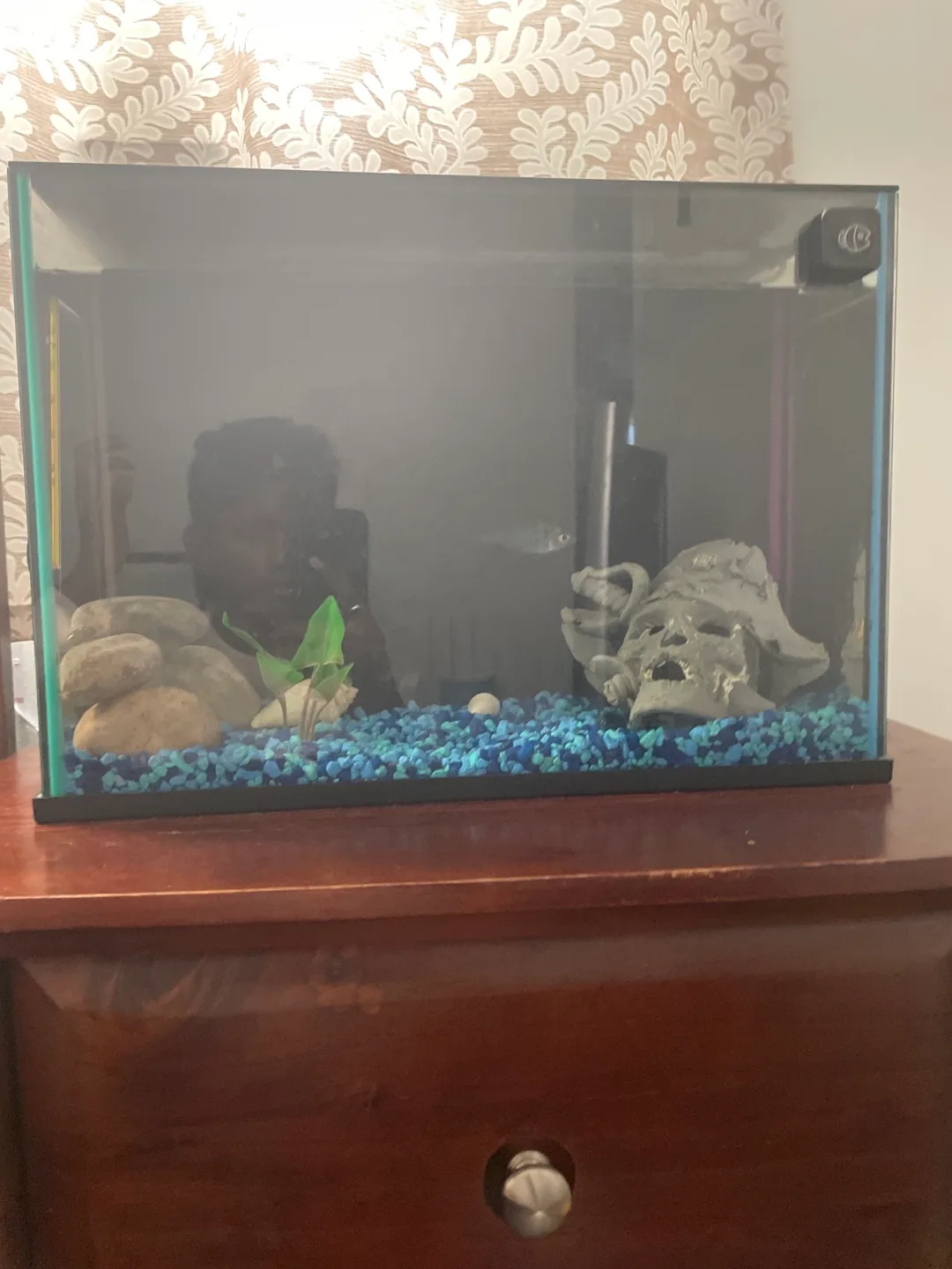 Fish tank with accessories image indicator(9)