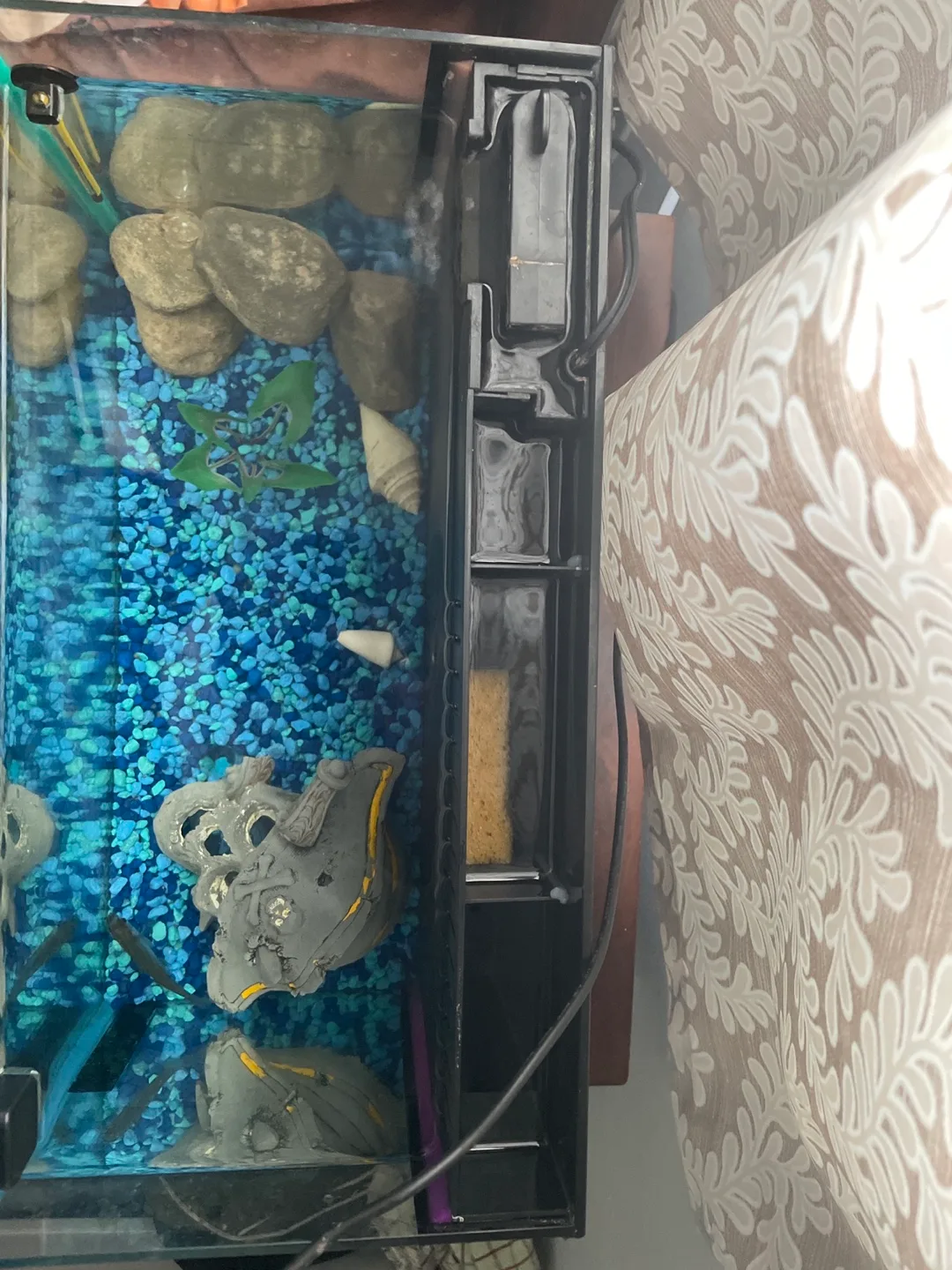 Fish tank with accessories image indicator(6)